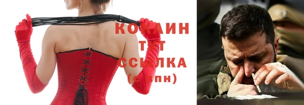 apvp Алексин