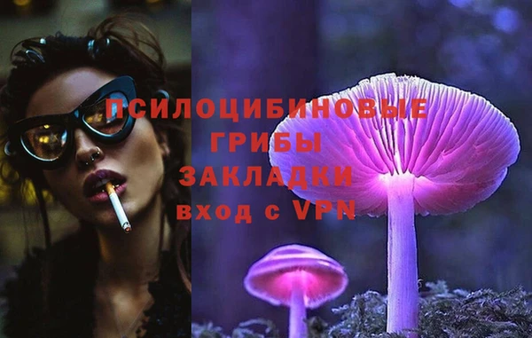 спиды Алексеевка