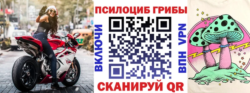 Псилоцибиновые грибы Cubensis  Лесной 