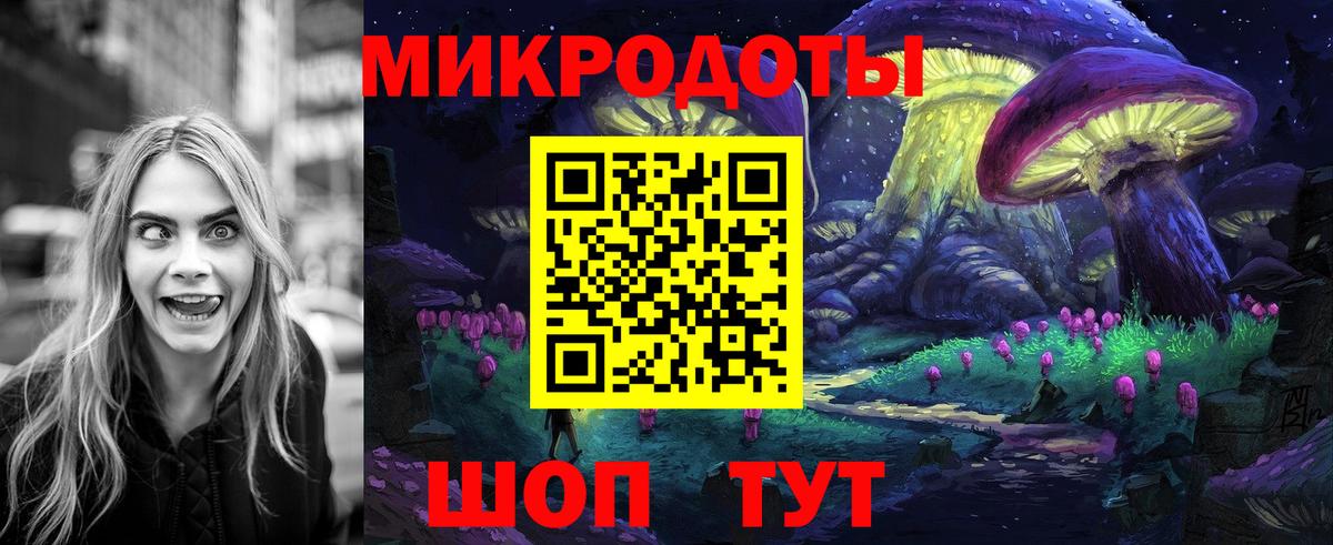 Псилоцибиновые грибы мицелий Лесной